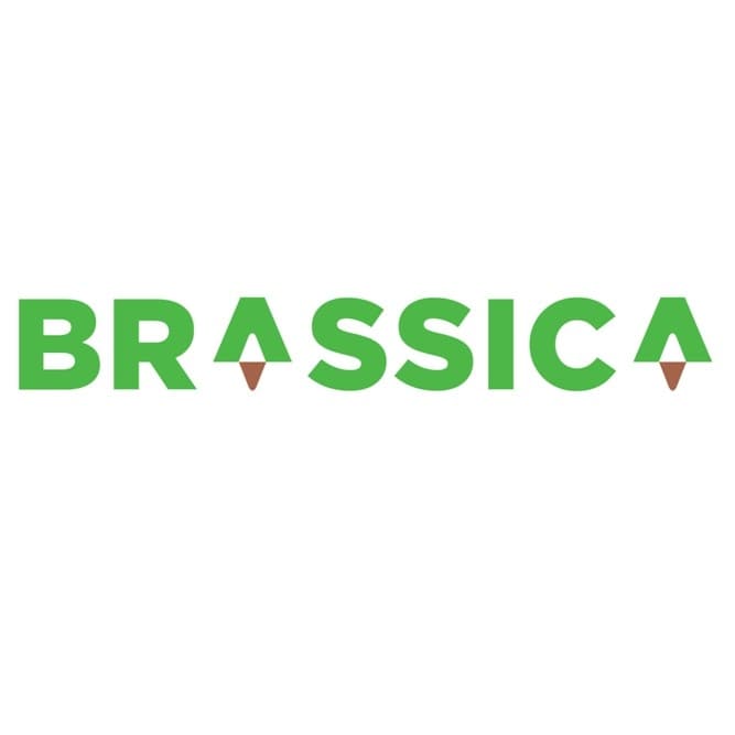 Brassica Trade